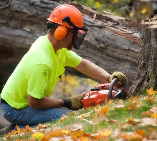 tree services Andrews AFB